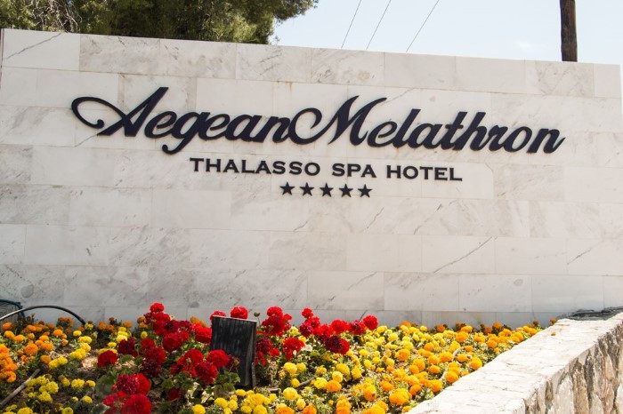 Aegean Melathron Thalasso Spa